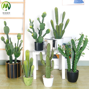 Plantas Artificiales, Cactus Bonsái, Decoración, Plantas Suculentas, Cactus en Oferta, Planta Artificial con Maceta para Hogar y Oficina - Product Image 2