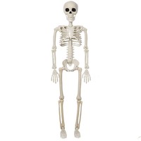Squelette géant d'Halloween de 8 pieds et 12 pieds, taille humaine, 35,43 pouces, décorations, squelette d'Halloween animé avec articulations mobiles de 5,4 pieds