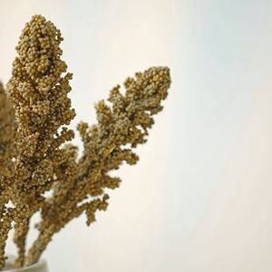 <span class=keywords><strong>Promie</strong></span> Craft Building Modell/Zug/Sand Tisch/Student Toy Tree/Holz pulver/ -3 - Product Image 1