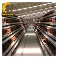 Élevage de volaille jinreen à 3 niveaux pour élevage de volaille, cage avec batterie, bon marché, meilleure vente en algérie, convient aux <span class=keywords><strong>poules</strong></span> - Product Image 6