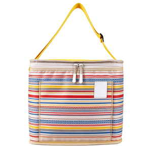 Bolsa Térmica Impermeable para Picnic con Logotipo Personalizado, Estilo Japonés, Tela de Poliéster, Diseño de Dibujos Animados, Cierre de Cremallera, para Exteriores, OEM - Product Image 1