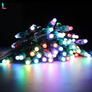 Decorazione natalizia impermeabile Dmx indirizzabile Led Pixel Light RGB WS2811 Pixel luci stringa 5V 12V 12mm stringa di colore pieno