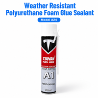 Scellant en mousse de polyuréthane personnalisé TIAN JIAN A24 500 ml, séchage rapide, adhésif PU monocomposant pour la construction de portes et de fenêtres