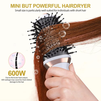 Mini Sèche-Cheveux Ionique Portable du Fabricant avec Brosse Diffuseur Volumisante et Coiffante Électrique AC pour Maison, Hôtel, Garage, Extérieur
