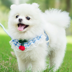 Pet Leash Anti Escape Vest Style Cat Harness Blue With Bow And Tulle Skirt For Small Cats - Product Image 3
