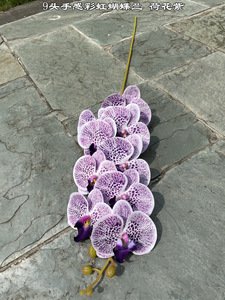 Orquídeas Artificiales de Color Nude, Hechas a Mano, con Tacto Real, Orquídeas Blancas y Azules Phalaenopsis para el Día de San Valentín, Venta al Por Mayor - Product Image 3