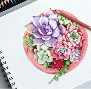 マルチカラー 24色 36色 48色 工場卸売 カスタム鉛筆 ペンシル デッサン鉛筆 - Product Image 6