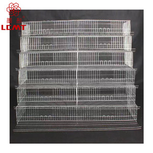 MT Group-nuevo modelo, jaula manual de codorniz tipo A de alta calidad - Product Image 3