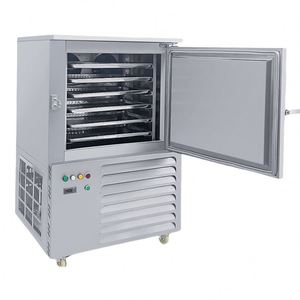 Congelador Criogénico Industrial Comercial de Alta Calidad para Alimentos, Congelación Rápida -45°C ° Contenedor para Congelador - Product Image 4