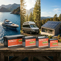 Batterie LiFePO4 12V 20Ah à décharge profonde pour ouvre-porte solaire, caméra de vidéosurveillance, système de sécurité, alimentation de secours UPS, alarme domestique, détecteur de mouvement solaire
