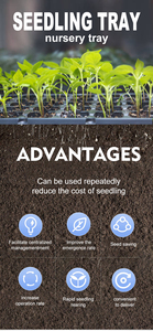 Plateau hydroponique en <span class=keywords><strong>plastique</strong></span> moderne de haute qualité pour le jardin à la maison pour une utilisation suspendue et au sol dans les jardinières de pépinière de tomates - Product Image 6