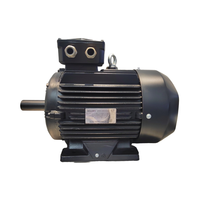 Moteur asynchrone triphasé Wolong CNE WE3 à haut rendement IE2, 3 kW, cadre 42 mm, 2-8 pôles, 50/60 Hz, protection IP55, montage sur pied