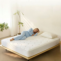 Kühlgel-Infundierte Memory-Schaum-Matratze King Queen Full Size Druckentlastende Atmungsaktive Heim-Schlafzimmer-Bettmatratze