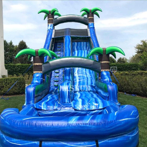 24ft Single Lane Trượt Nước Nhiệt Đới Với Hồ Bơi - Product Image 5