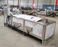 Transportbaan Geblancheerde Machines Groentebonen Voedsel Fruit Aardappel Blancheermachine