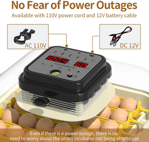 Trang Trại 30 Trứng Kích Thước Nhỏ Lồng Ấp Thiết Bị Với Nước Và Trứng Quay Điều Chỉnh Nhiệt Độ Thích Hợp Cho Vịt Ngỗng - Product Image 4