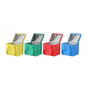 Reusable Grocery Supermarket Picnic Insulated Cooler Bag with logo Printed Eco-friendly Waterproof Food Lunch Beer Cooler Bags - Product Image 4