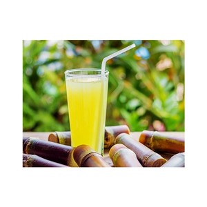 Economical and Practical Commercial Sugar Cane Juicer Machine for Home Use sugar Cane Crushers for Sale Tractor - Product Image 6