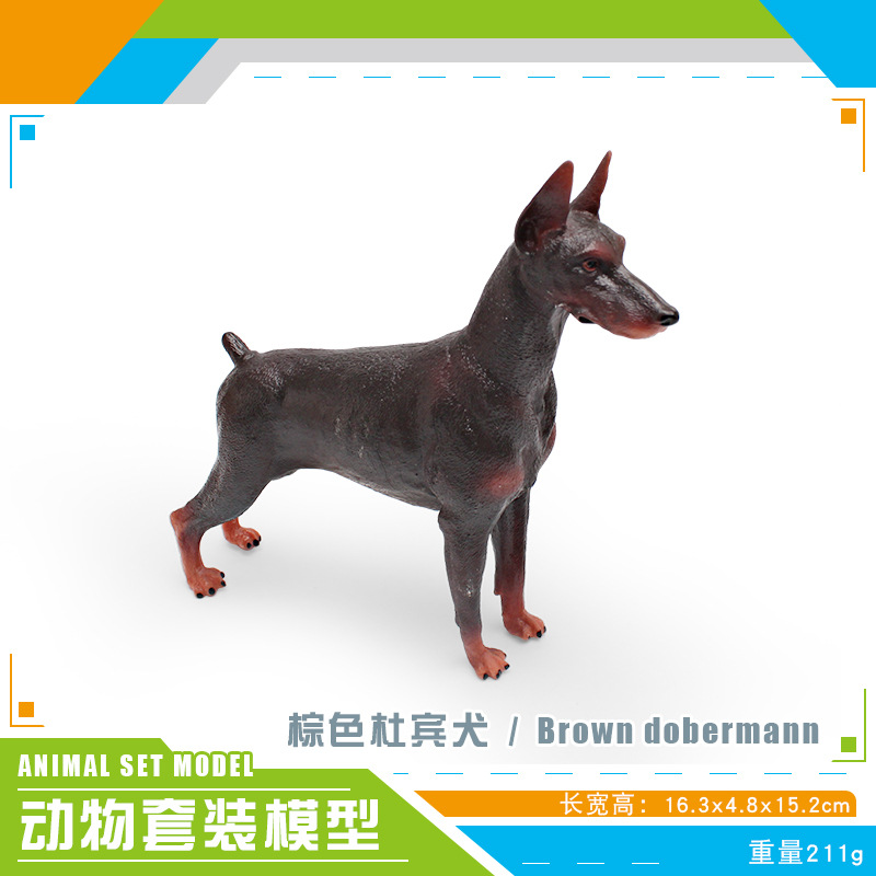 PL127-600 Doberman Spaniel marrón 211g