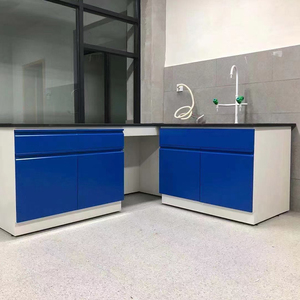 Fornitori di Attrezzature per Laboratori Chimici, Strumenti di Fisica Elettrica, Banco da Lavoro con Lavello - Product Image 5