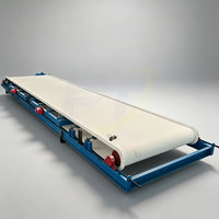 Laveuse automatique de tapis pour la récupération des minerais de minerai de tungstène, de tantale et de niobium, et des déchets miniers d'or (0208)