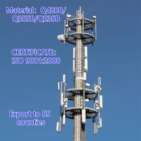 Torre de Telecomunicaciones Monopolar Galvanizada de 30m con Tecnología Profesional para Sitio de Red 5G Urbana