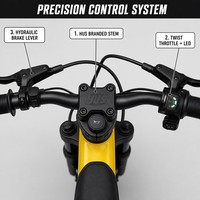 Moto électrique tout-terrain pour enfants 36V 5.0Ah, cadre en aluminium de 16 pouces, frein à disque hydraulique, pneu à crampons, 2 vitesses, vélo d'extérieur pour enfants