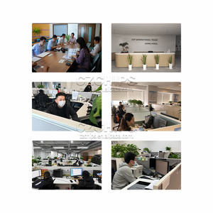 Agency Partnership TSOP CZSKU:NZ333LOY44 (Asociación de agencias) - Product Image 4