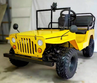 Mini 4x4 125cc d'usine, 3 vitesses avec marche arrière, 2 places, 2 roues motrices, certifié pour enfants et adultes, moteur 4 temps, transmission électrique