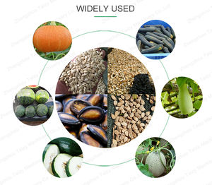 Máquina Separadora de Semillas de Melón, Calabaza y Pepino, <span class=keywords><strong>Precio</strong></span> para Granjas de Melón - Product Image 2