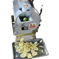 Multifunctionele Groentechopper En Snijder Groentefruitchips Snijmachine Roestvrijstalen Groentehakselaar