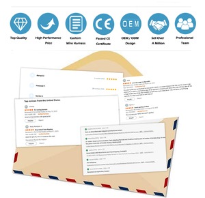 Fabricación de Arneses de Cables para Sistemas de Gestión de Baterías (BMS) Automotrices, Kits de Arneses de Cableado Personalizados para ECU, ECM, Sensores Automotrices, Fabricante de Cables - Product Image 6