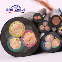 Câble BRS Jhs2x2.5sqmm câble de pompe à eau Submersible CE cuivre Shanghai fil toronné souple Flexible toronné 3 noyaux 14awg ~ 1awg