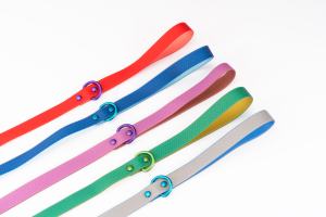 Correa de perro de lujo con absorción de golpes duradera correa de perro personalizada sólida para caminar correa de perro mascota de Pvc - Product Image 3