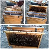 Cadre portable pour abeilles en acier inoxydable, support de cadre de ruche, perche, accessoires pour la ruche