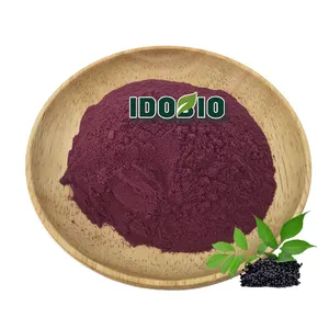 black elderberry extract powder 100% natural