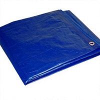 Bâche en PE robuste et imperméable avec logo/impression personnalisée, bâche en toile pour chantier de construction, bâche en PE à vendre