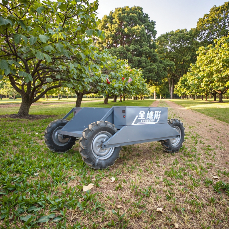 All terrain Remote Control Transport Electric