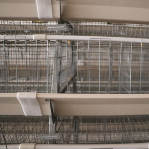 Cage de volaille de pondeuse à batterie automatique de type 4 niveaux <span class=keywords><strong>moins</strong></span> chère et de bonne qualité avec abreuvoir de volaille en plastique pour l'Afrique - Product Image 4