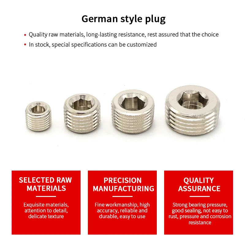 Manufacturers customized wholesale German HASCO brass plug throat plug