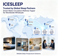 Matelas intelligent ICESLEEP à circulation d'eau, double zone de refroidissement et de chauffage, contrôlé par application/tactile/Wi-Fi/Bluetooth, design moderne pour la maison