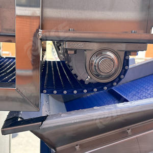 Macchina Automatica per Confezionamento IKE <span class=keywords><strong>Onion</strong></span>, Linea di Lavaggio a Bolle per Frutta Secca, Sterilizzatore Alimentare, Lavorazione di Caramelle, Verdure e Frutti di Mare - Product Image 5