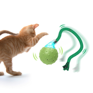 BENTOPAL Çevre Dostu 5cm Plastik Silikon Kedi Köpek Oyuncağı Kuş Sesi Çıkaran Küçük Oyun Kutusu İnteraktif Evcil Hayvan Hareketli Oyuncak Paketli - Product Image 2