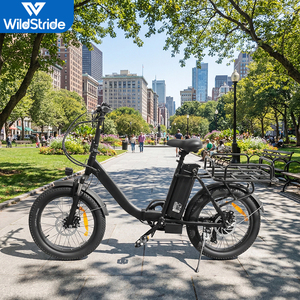 Bicicleta Eléctrica de 500W con Llantas Gruesas de 20 Pulgadas, 32KM/H, Frenos de Disco de Acero al Carbono, Batería de Litio de 48V, EB10. Esta Bicicleta Cuenta con un Motor de 500W - Product Image 3