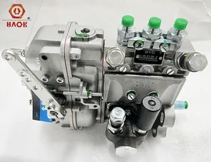 Dieselmotor teile 02232402 Kraftstoffe in spritz pumpe F3L912 für deutz