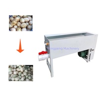 Machine à laver les œufs brosse rouleau automatique équipement de nettoyage des œufs petite machine à laver les œufs de caille portable NP Brand