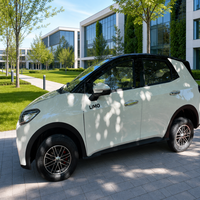 SUV Électrique Compact Personnalisable avec Entrée NFC, Audio Bluetooth, Prix de Gros Direct Usine