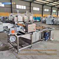 Industriële automatische motor aangedreven belletjeswasmachine voor het reinigen van fruit en groenten, capaciteit 600-1000 kg/uur, voor voedselverwerking