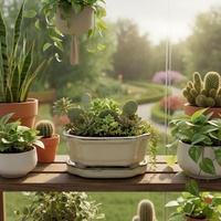 Pot de Bonsaï en Céramique Yixing en Gros, Petit, Multi-Styles, en Porcelaine Émaillée Bleue, Durable, Écologique, pour Jardin et Usage Domestique sur Pied