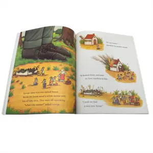 Custom Full Color Crianças Livros Educativos Impressão Personalizada Impressão de Tamanho Grande Paperback Livros de História Infantil